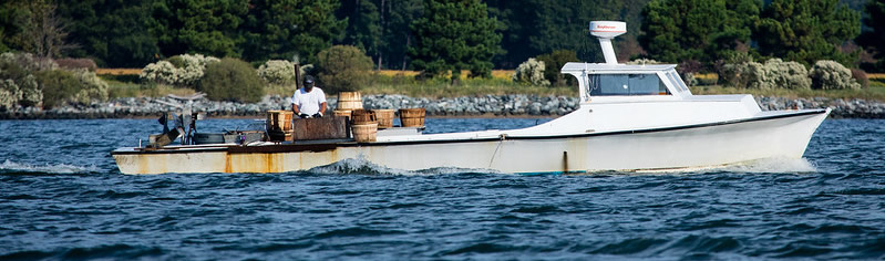 A waterman works with his vessel underway. Landscape.